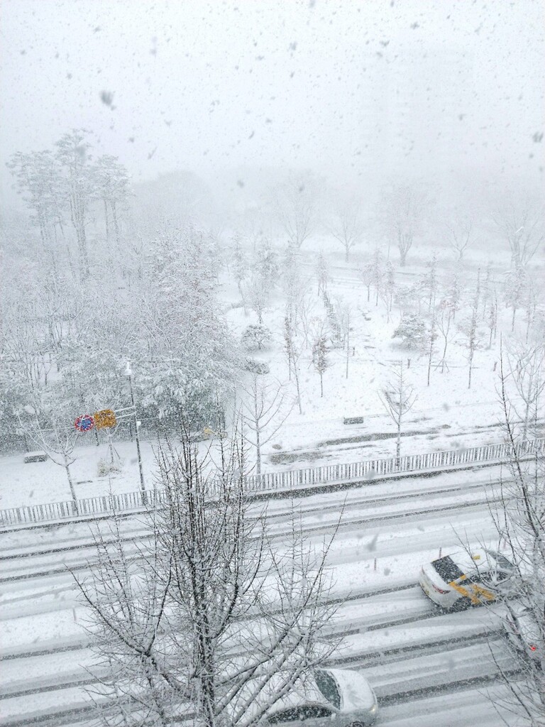 안산중앙요양병원 <11월 미용봉사-2>