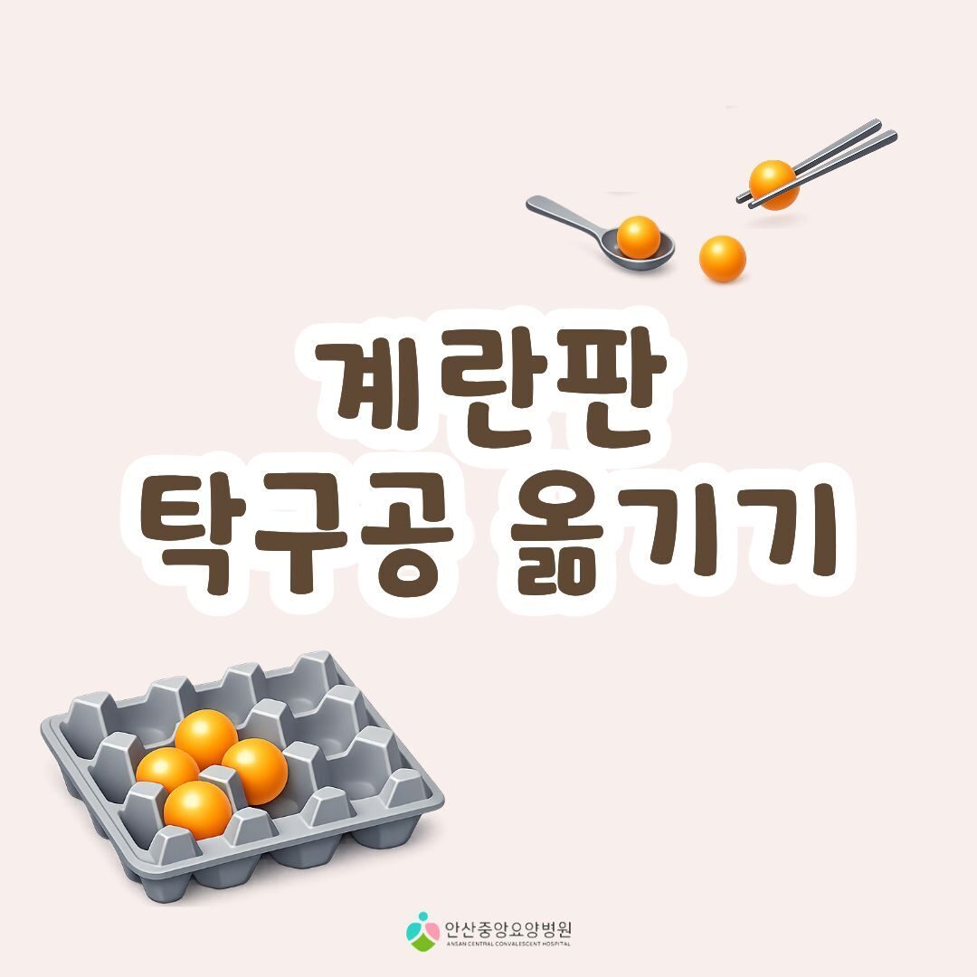 계란판 탁구공 옮기기